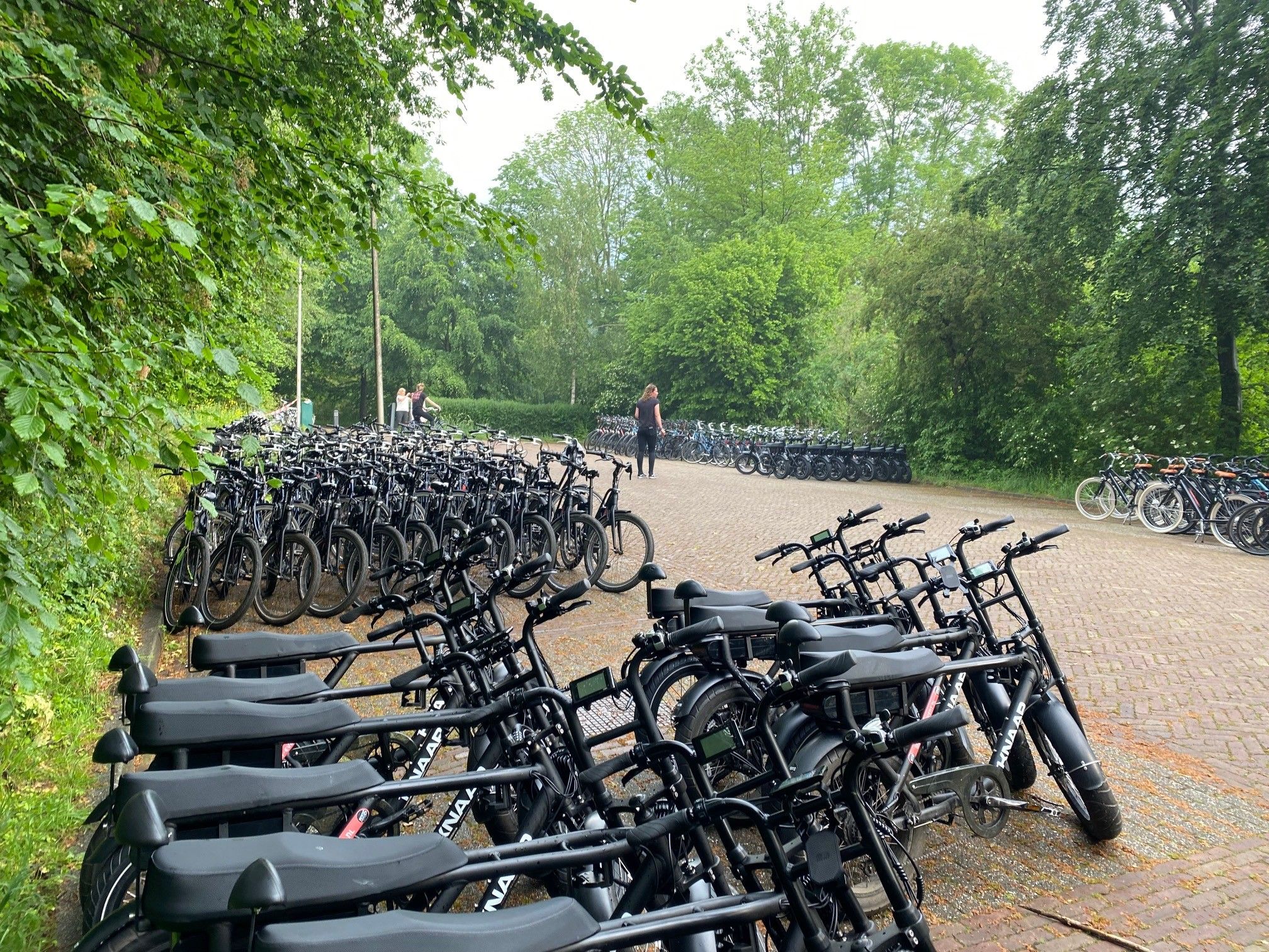 fatbike huren voor groepen, op locatie geleverd door Fietshuren.com (foto 8)
