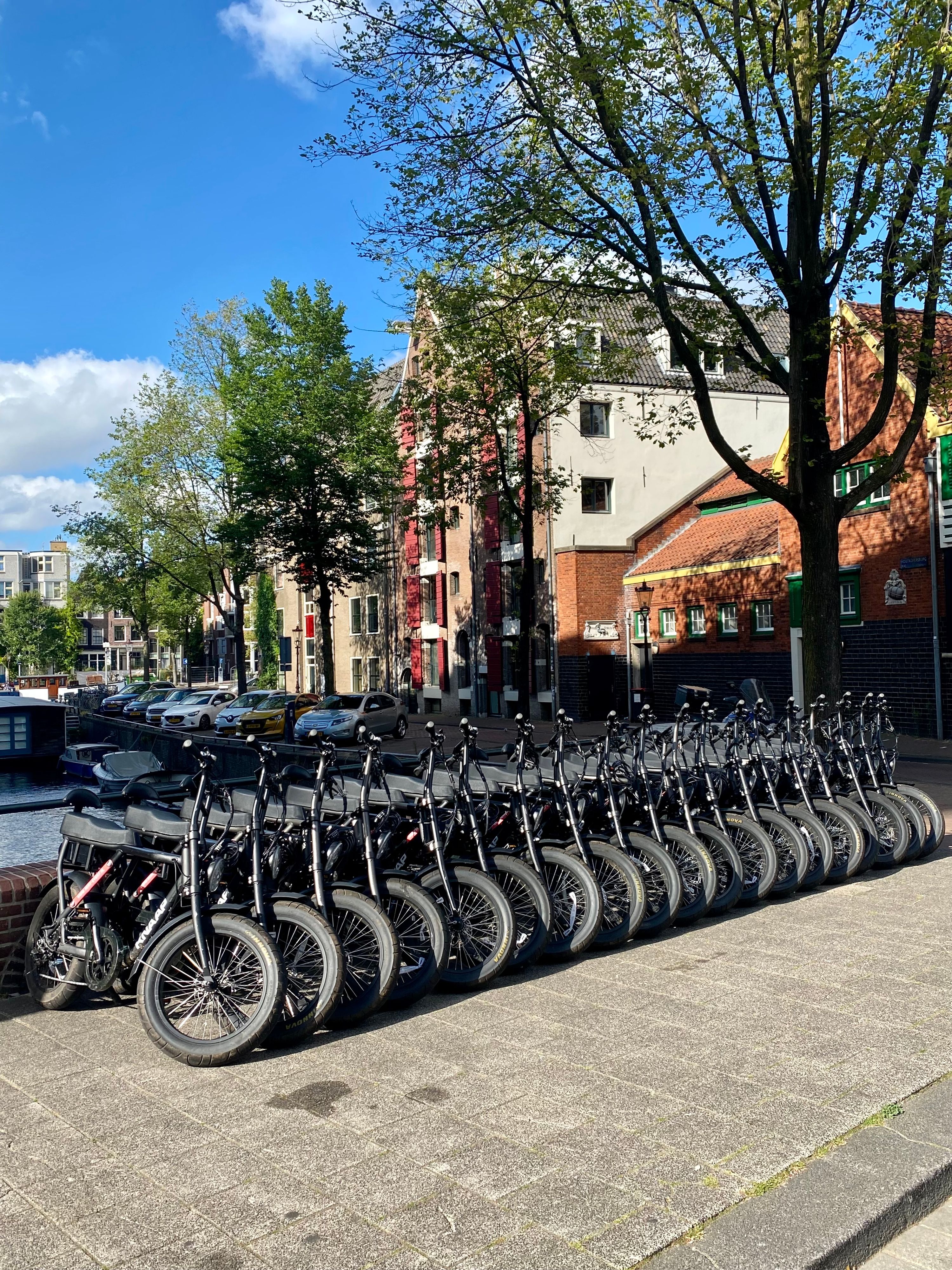 fatbike huren voor groepen, op locatie geleverd door Fietshuren.com (foto 11)