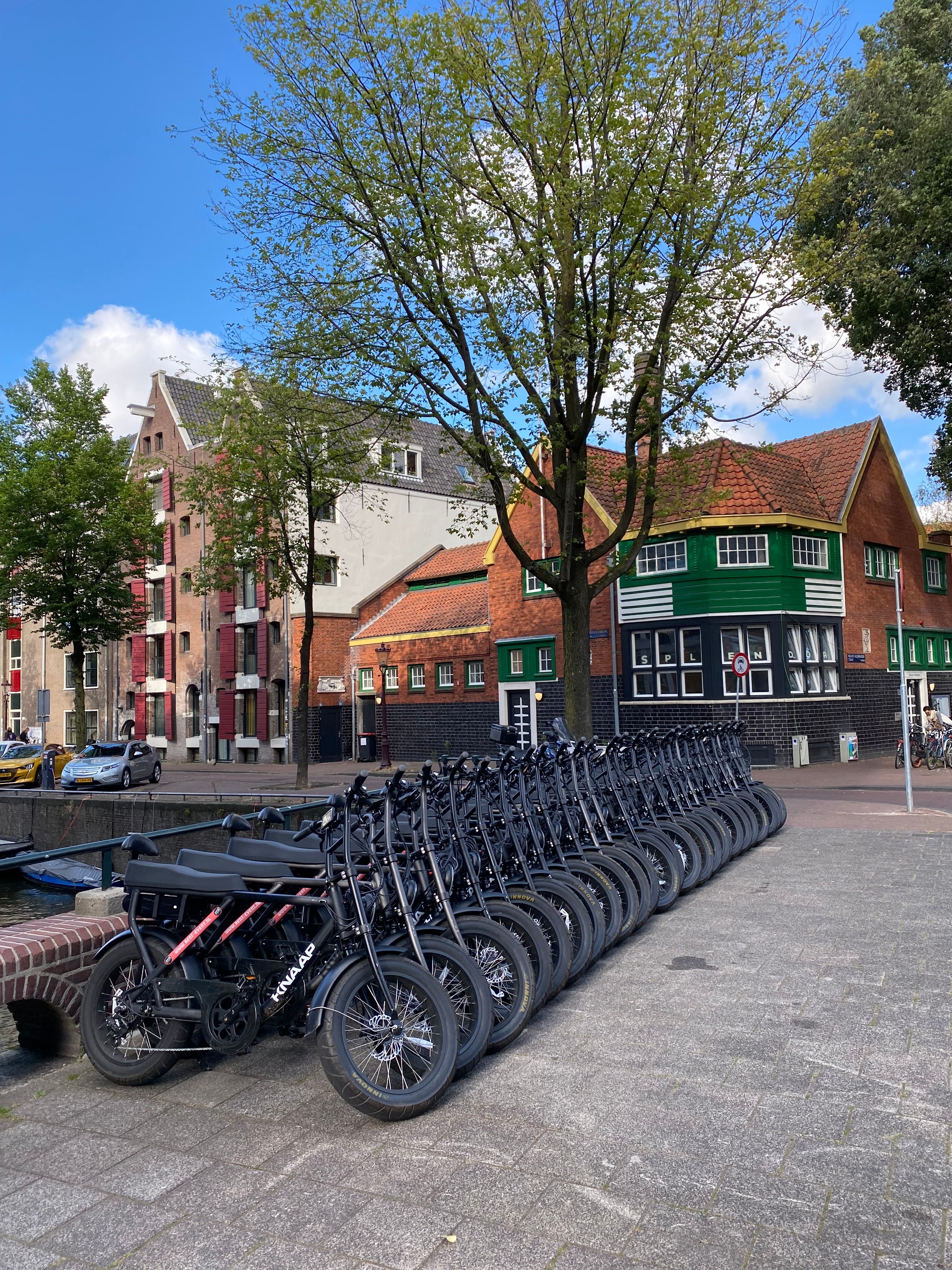 fatbike huren voor groepen, op locatie geleverd door Fietshuren.com (foto 19)