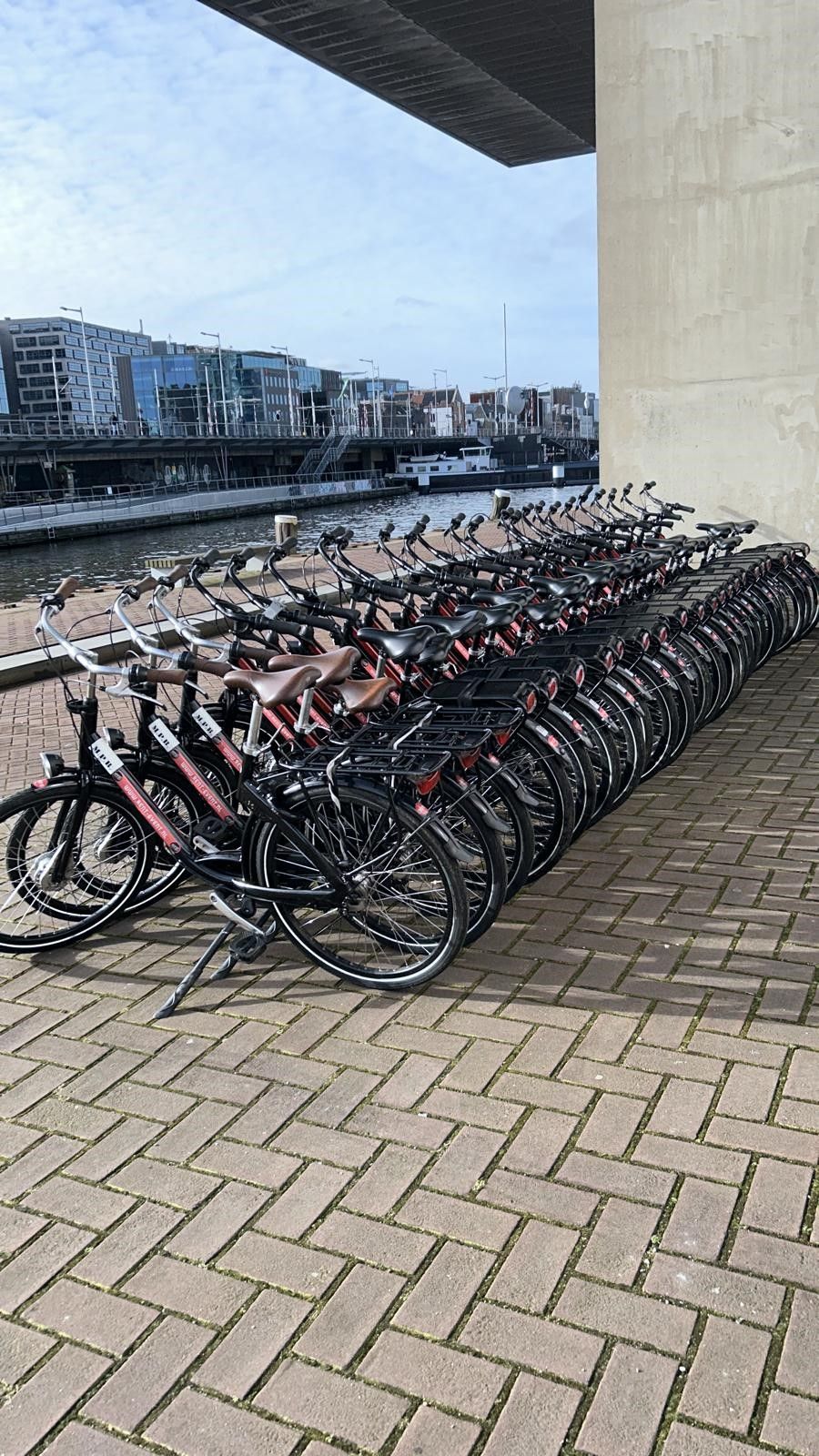 stadsfiets huren voor groepen, op locatie geleverd door Fietshuren.com (foto 4)