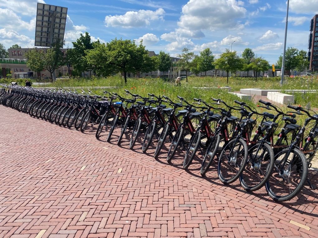 stadsfiets huren voor groepen, op locatie geleverd door Fietshuren.com (foto 15)