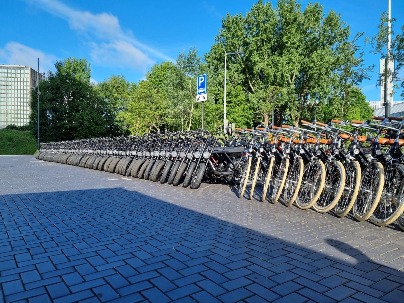 stadsfiets huren voor groepen, op locatie geleverd door Fietshuren.com (foto 29)