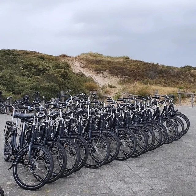 tandem huren voor groepen, op locatie geleverd door Fietshuren.com (foto 9)